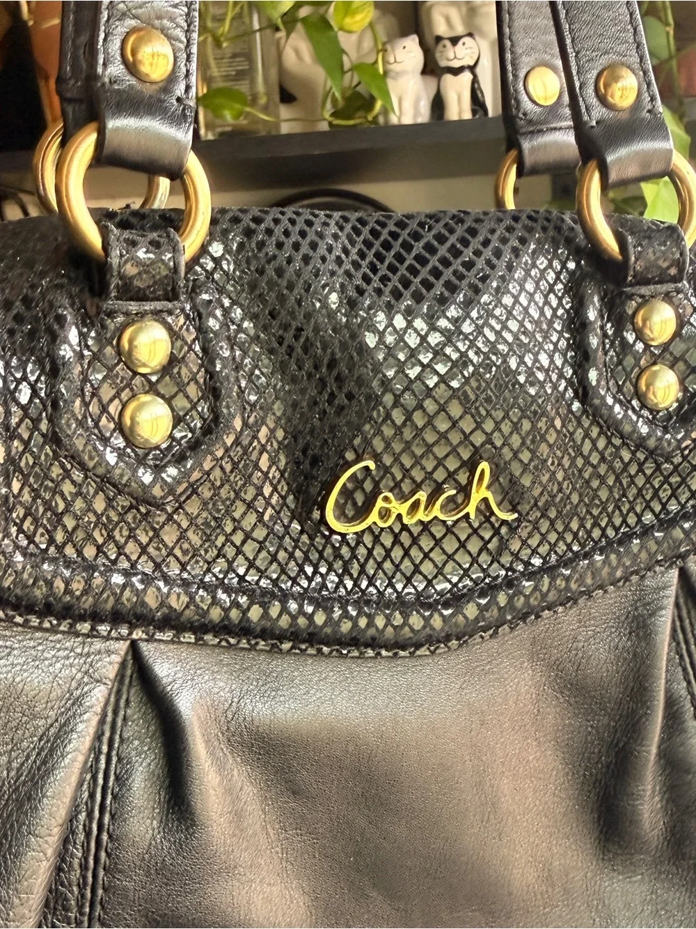 Coach classic black